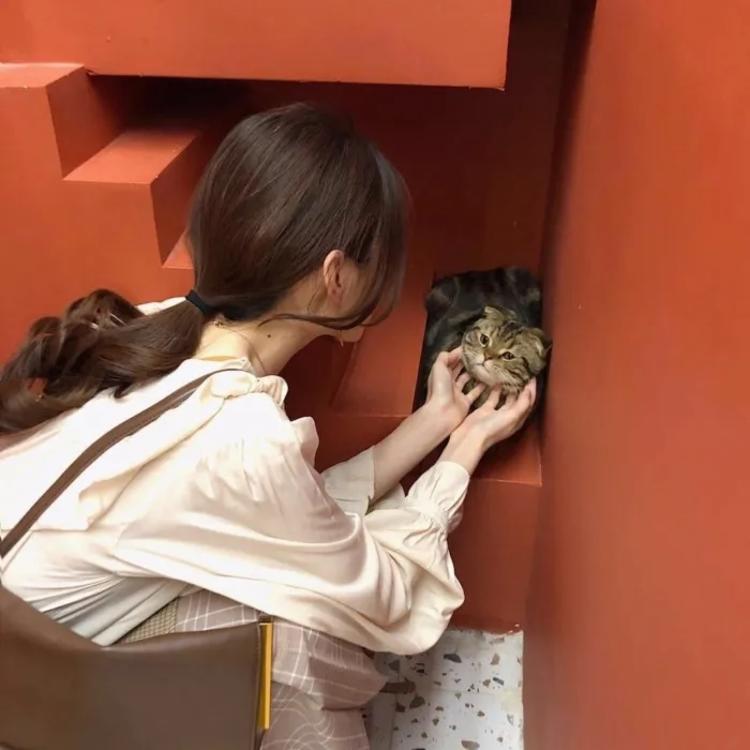 神谷熏（身份：神谷活心流代理师父、女主角） - 悬疑剧集完整在线观看 - 网页看电影